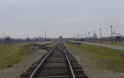„Auschwitz mit eigenen Augen sehen“ – Oberstufenschüler der Anne-Frank-Gesamtschule treffen Auschwitz-Überlebenden