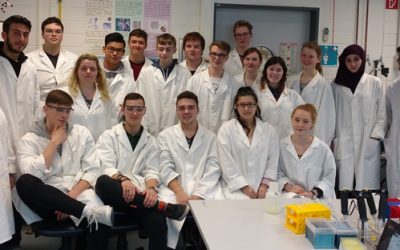 Was steckt wirklich in der Wurst?